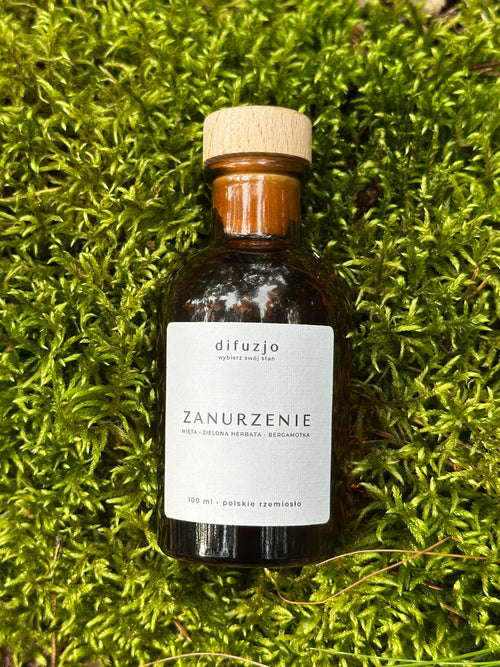 Zanurzenie